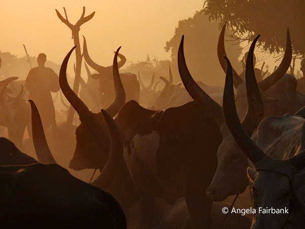 mundari camp scene 23