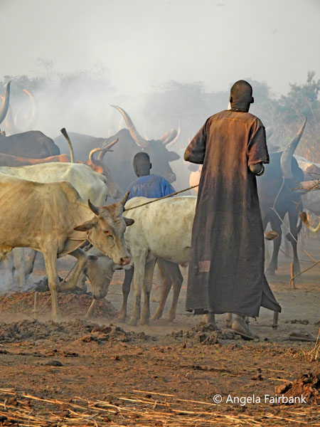 mundari camp scene 24