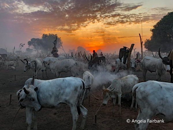 mundari camp scene 46
