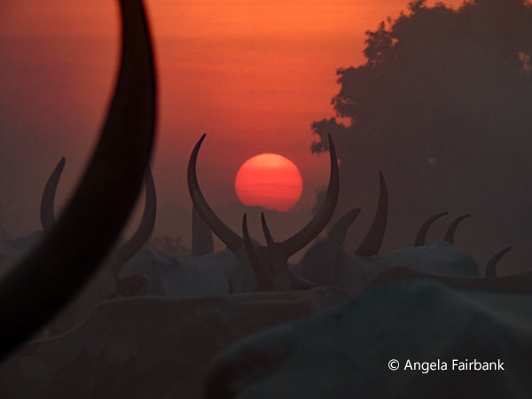 mundari camp scene 47