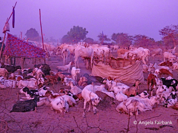 mundari camp scene 55