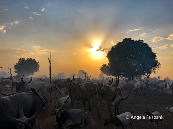 mundari camp scene 3