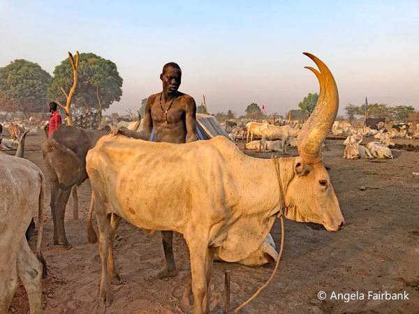 mundari camp scene 63