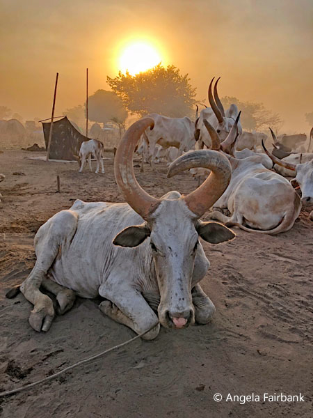 mundari camp scene 64