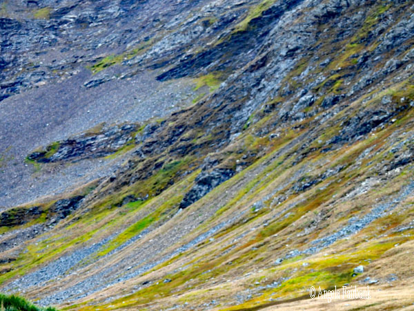 view of hills