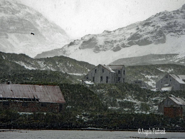 scene in snow 1
