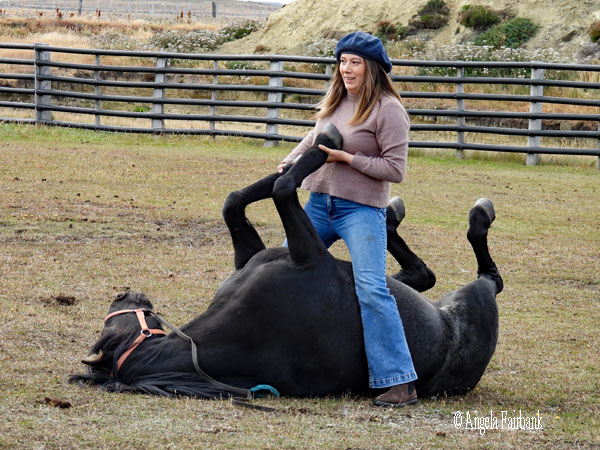 gaucha with upside-down horse