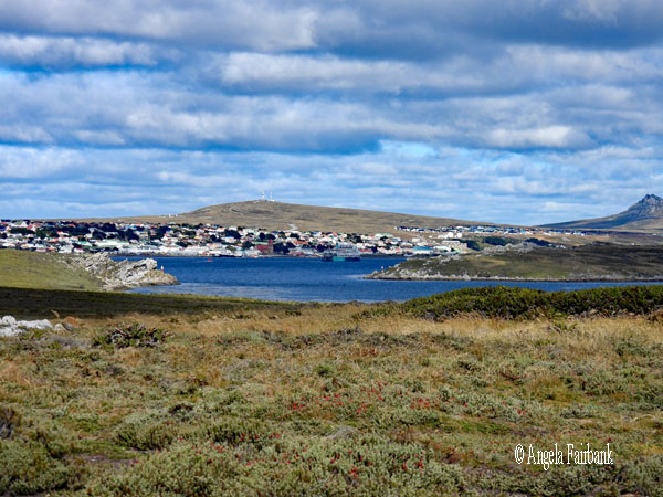 view of Stanley from Gypsy Cove
