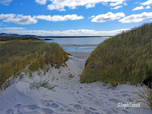 white sand to beach