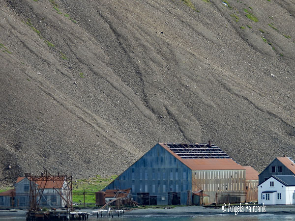 old whaling station buildings from the ship 1