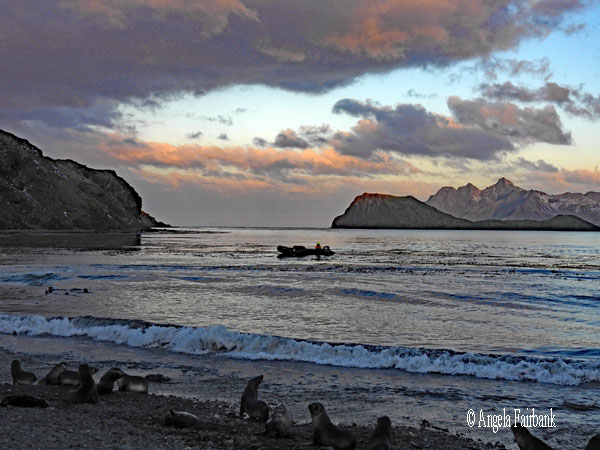 the bay at sunset
