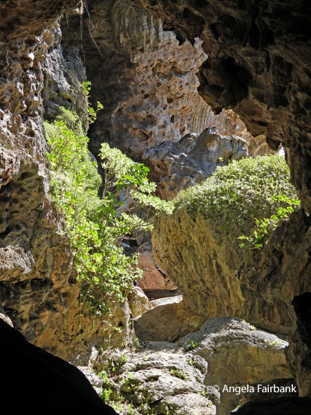view from inside cave