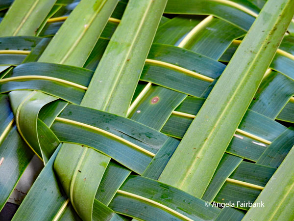 woven palm basket