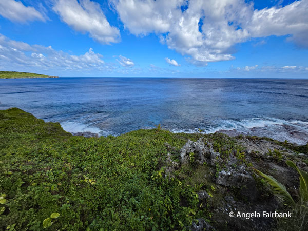 Final photo of the Pacific Ocean