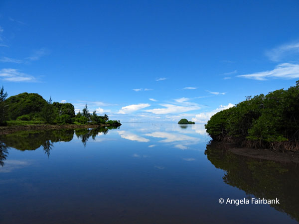 reflecting water 1