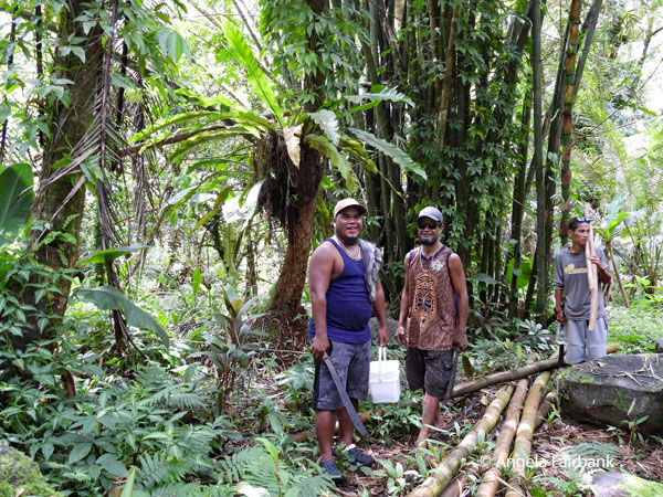 forestry workers on the way to Nan Madol