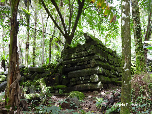 fist walls of Nan Madol