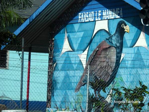 mural with national bird of Samoa, the tooth-billed pigeon or manumea (<i>Didunculus strigirostris</i>
