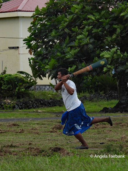 cricket game 1