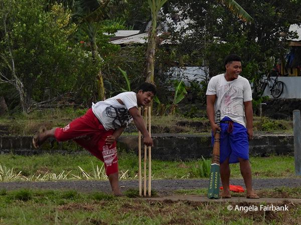 cricket game 2