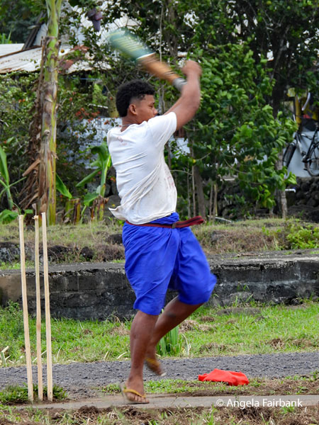 cricket game 4