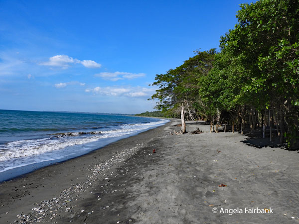 beach at cacao farm
