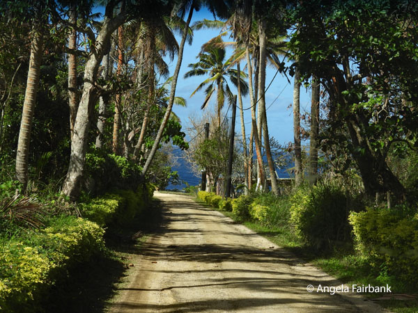 picturesque road