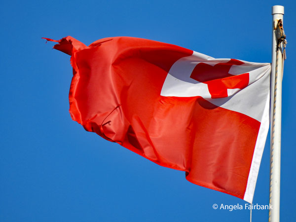 tongan flag flying atop royal palace