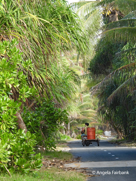 motorcycle carrying oil drum
