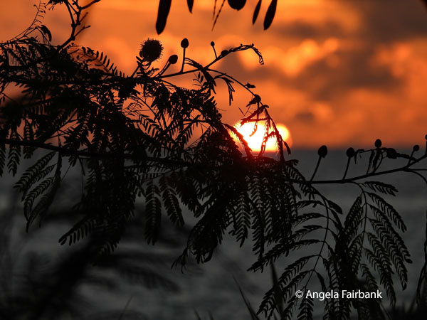 sunset at the hotel 2