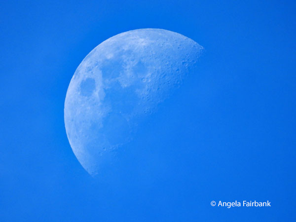 half moon