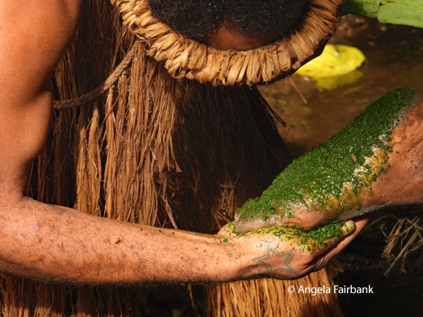 spitting chewed leaves on soles of feet