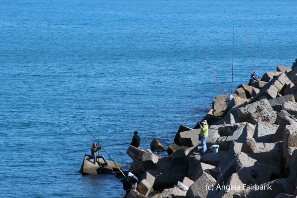 fishers