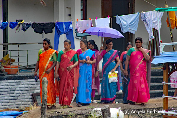 7 women in saris
