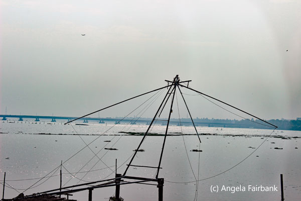 Chinese fishing net