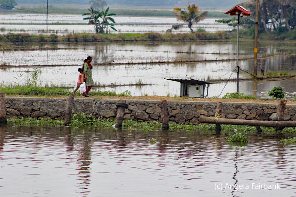 woman and girl walking in paddy fields