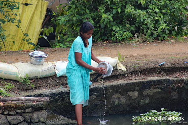 woman washing dishes