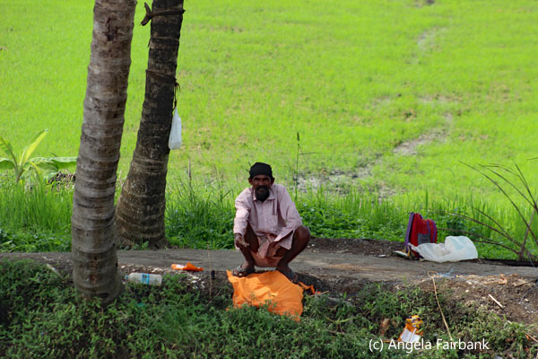 man squatting on bank in front of rice paddies