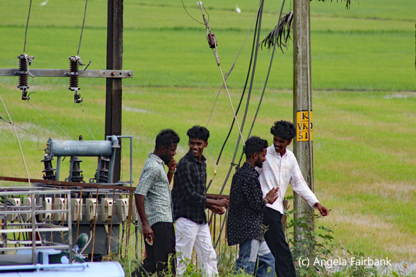 4 young men walking in front of rice paddy fields