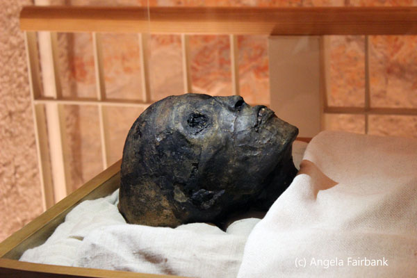 mummified Tut head