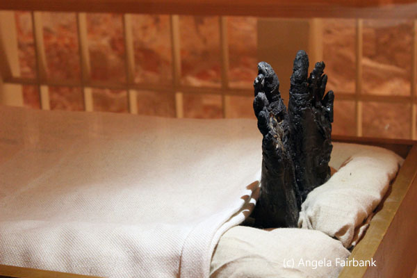 mummified Tut feet