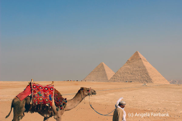 camel, driver and 2 pyramids