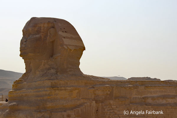 sphinx side view