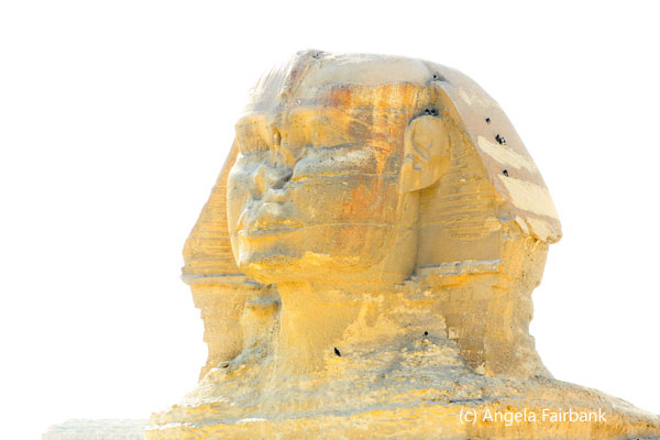 sphinx head 3/4 view