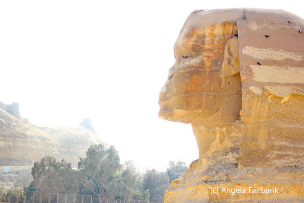 sphinx head side view and trees