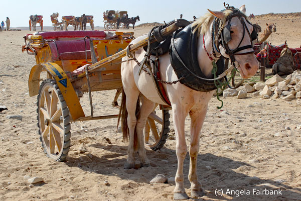 horse and cart