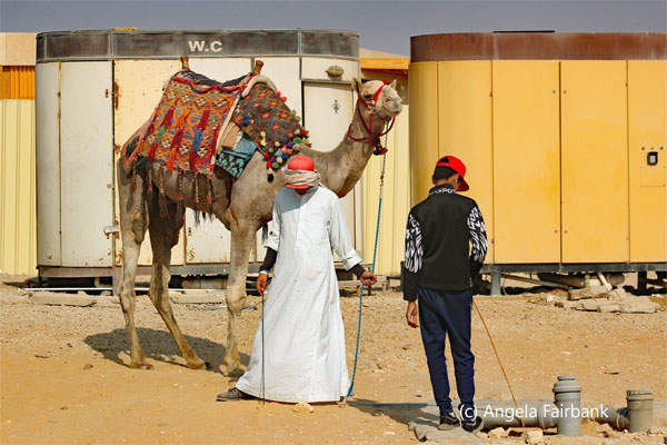 2 men with camel