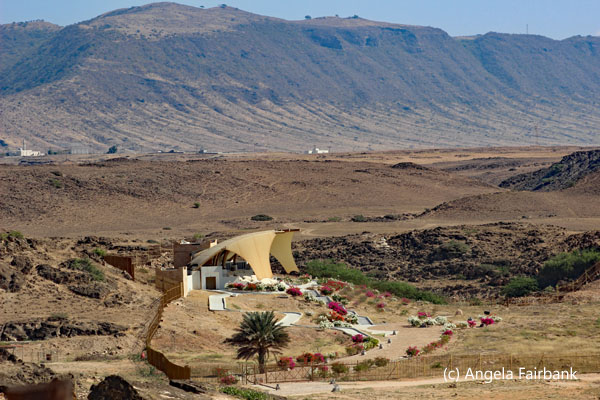 lodging with floweres against desert