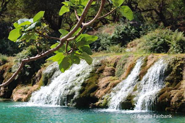 falls