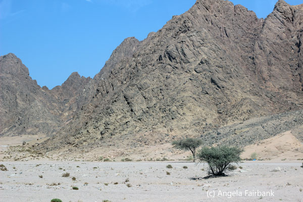 desert